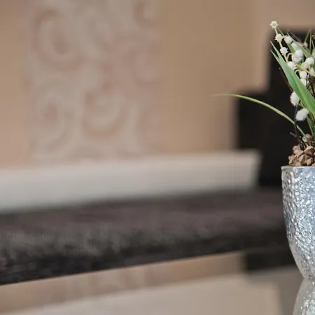 Great Apartment Pecs